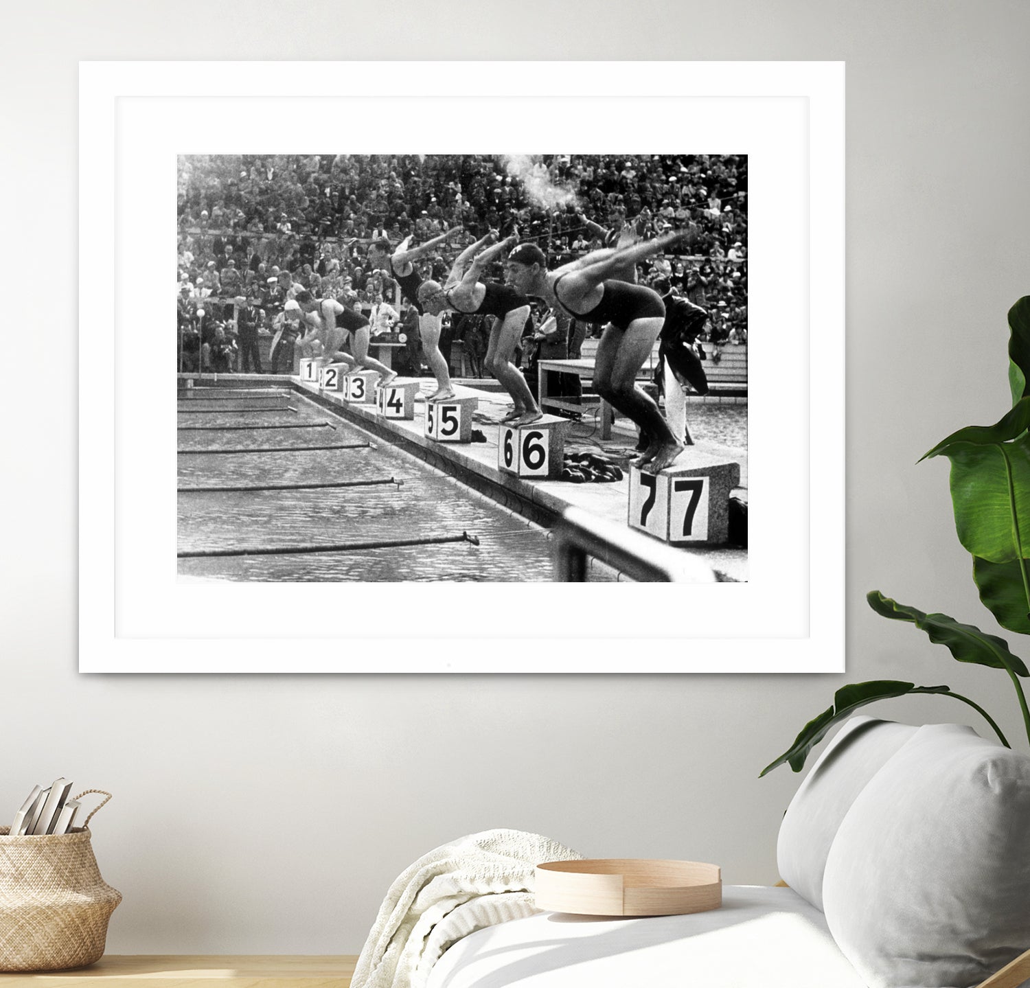 swimming competition at berlin Olympic Games in 1936  by Bridgeman Images  on GIANT ART - black and white photgraphy