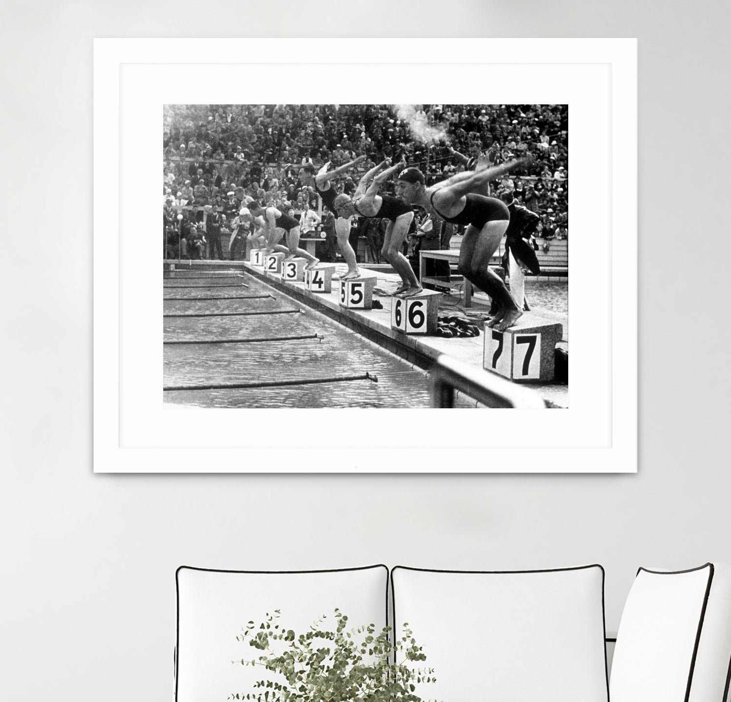 swimming competition at berlin Olympic Games in 1936  by Bridgeman Images  on GIANT ART - black and white photgraphy