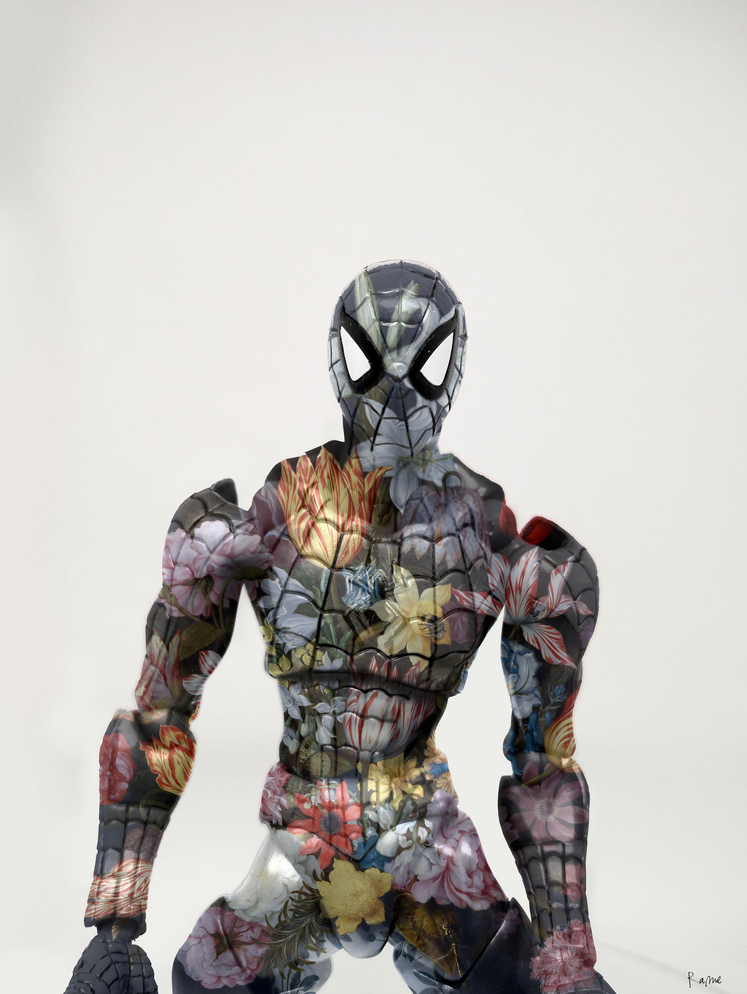 Botanical Spiderman by Caterina Lo Cicero on GIANT ART