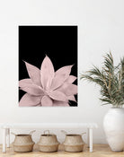 Blush Agave on Black #1 #tropical #decor #art by Anita & Bella Jantz on GIANT ART - pink photo illustration