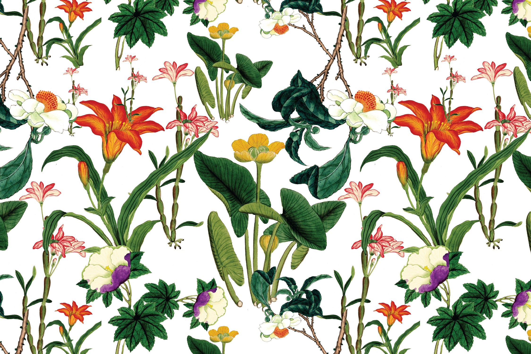 vintage floral white by susana costa on GIANT ART - yellow photo manipulation