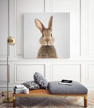 Rabbit - Colorful by Gal Pittel on GIANT ART - brown photo manipulation