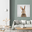 Rabbit - Colorful by Gal Pittel on GIANT ART - brown photo manipulation