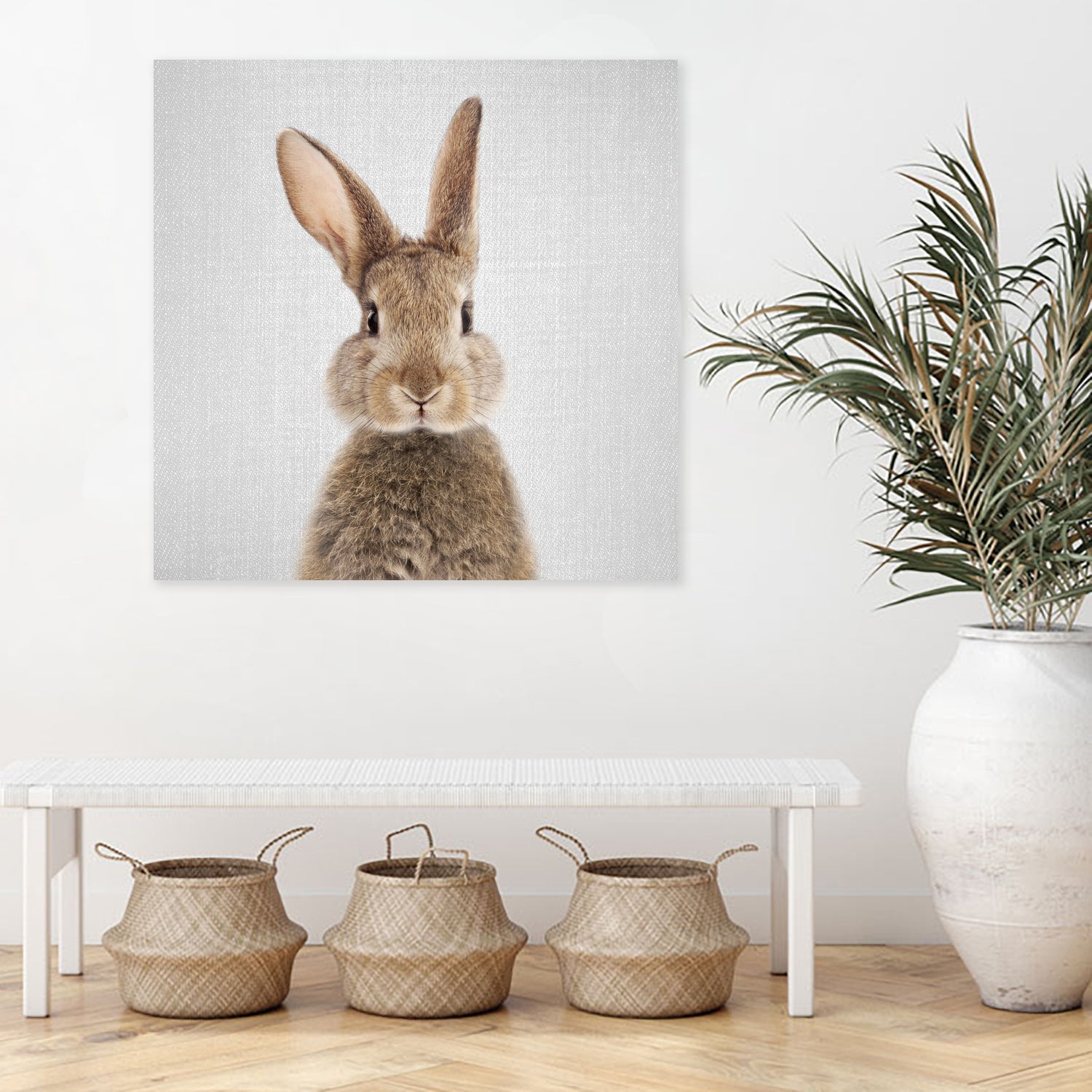Rabbit - Colorful by Gal Pittel on GIANT ART - brown photo manipulation