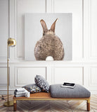 Rabbit Tail - Colorful by Gal Pittel on GIANT ART - brown photo illustration