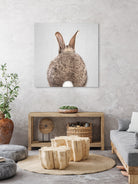 Rabbit Tail - Colorful by Gal Pittel on GIANT ART - brown photo illustration