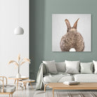 Rabbit Tail - Colorful by Gal Pittel on GIANT ART - brown photo illustration