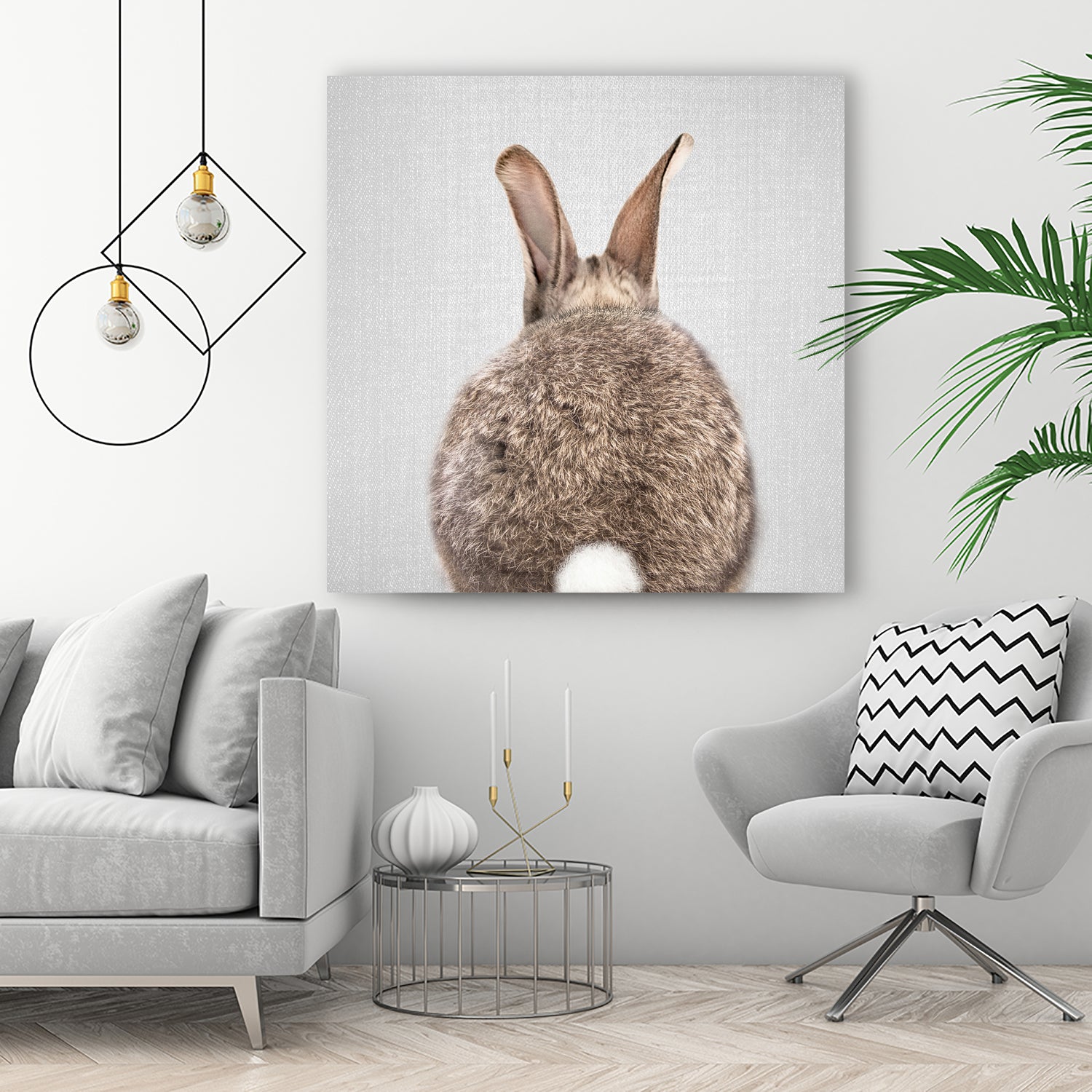 Rabbit Tail - Colorful by Gal Pittel on GIANT ART - brown photo illustration