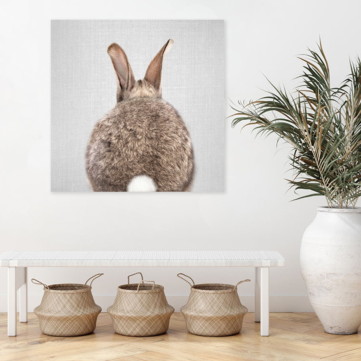 Rabbit Tail - Colorful by Gal Pittel on GIANT ART - brown photo illustration