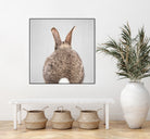 Rabbit Tail - Colorful by Gal Pittel on GIANT ART - brown photo illustration