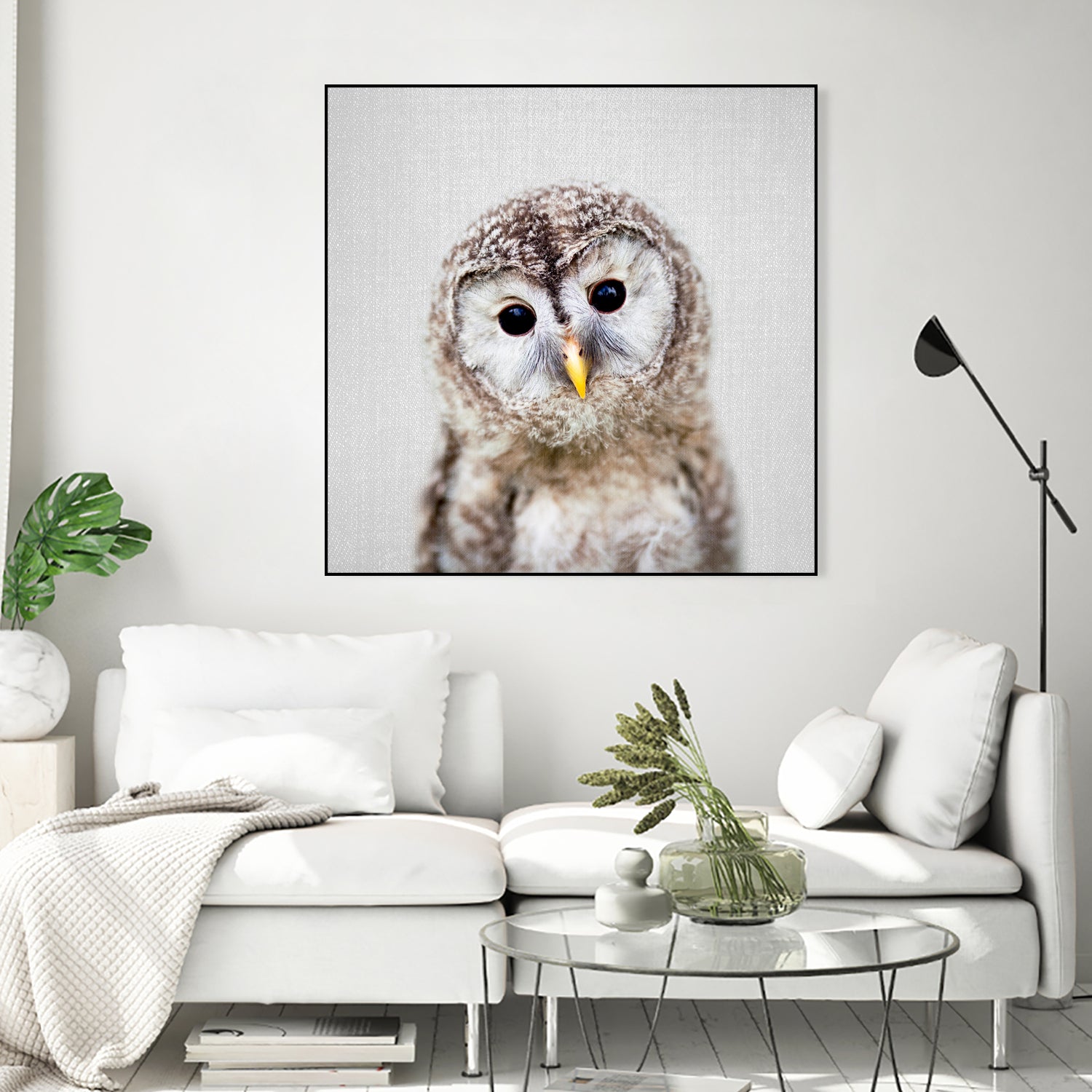 Baby Owl - Colorful by Gal Pittel on GIANT ART - brown digital painting