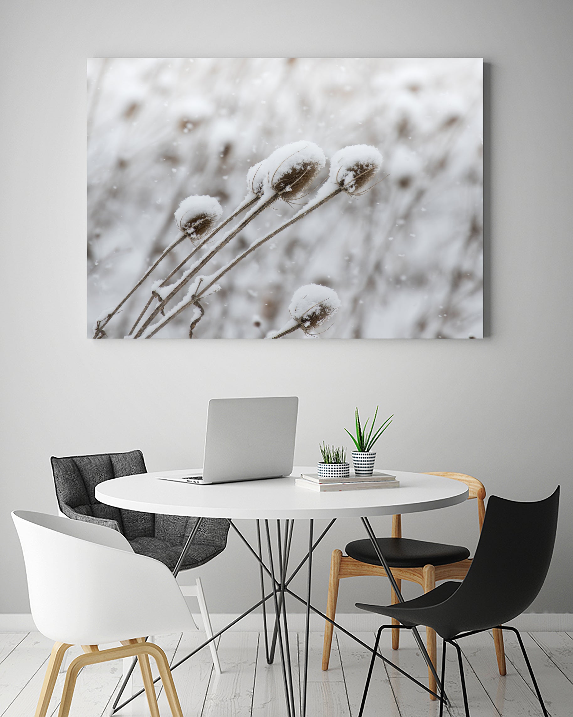 Snow on Thistle by Arlene Carley on GIANT ART - white photo manipulation