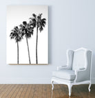 Palm Trees Black White 4 by Anitas Bellas Art on GIANT ART - coastal