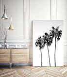 Palm Trees Black White 4 by Anitas Bellas Art on GIANT ART - coastal