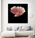 rose - one line art by Andrew Strugallo on GIANT ART - white digital drawing