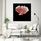 rose - one line art by Andrew Strugallo on GIANT ART - white digital drawing