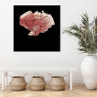 rose - one line art by Andrew Strugallo on GIANT ART - white digital drawing