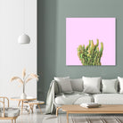 Summer Cactus Fingers on Soft Lavender by Dominique Van Roey on GIANT ART - pink photo manipulation