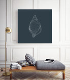 Shell by Alessandra Gagliano on GIANT ART - gray vector illustration