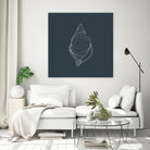 Shell by Alessandra Gagliano on GIANT ART - gray vector illustration