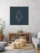 Shell by Alessandra Gagliano on GIANT ART - gray vector illustration