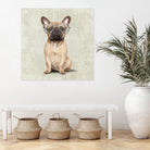 Mr French Bulldog by Roberta Jean Pharelli on GIANT ART - white digital painting