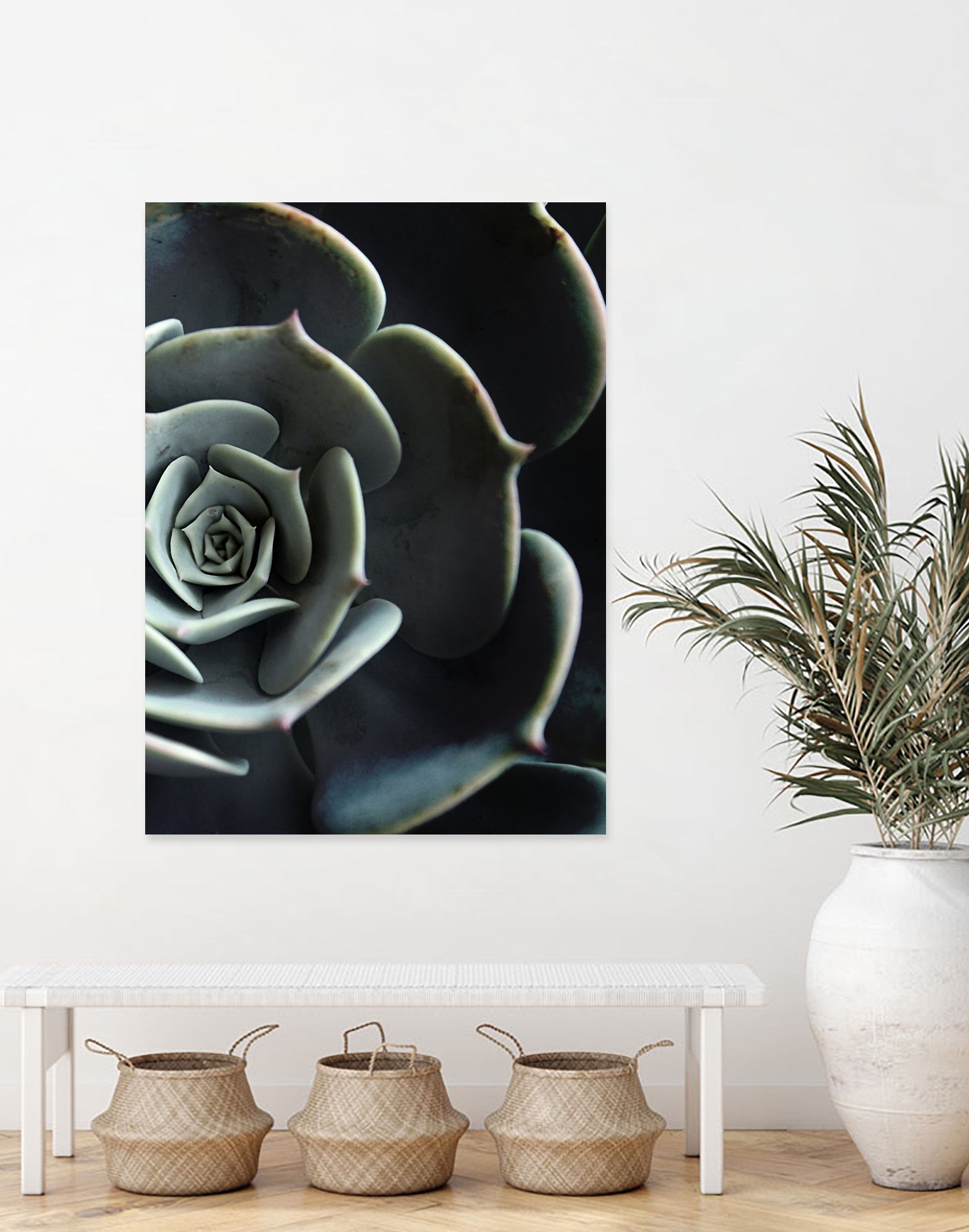 DARKSIDE OF SUCCULENTS XVI-B by Pia Schneider on GIANT ART - black photo manipulation