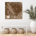 Ganymede by Brandi Untz on GIANT ART - brown digital painting