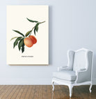 PEACHY by Jonas Loose on GIANT ART - orange photo manipulation