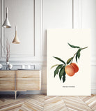 PEACHY by Jonas Loose on GIANT ART - orange photo manipulation