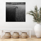 Borderline by Dariusz Klimczak on GIANT ART - photo manipulation