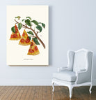 Pizza Plant by Jonas Loose on GIANT ART - orange digital drawing