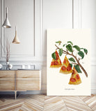 Pizza Plant by Jonas Loose on GIANT ART - orange digital drawing