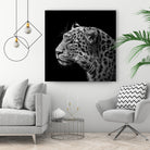 Leopard in black and white by Lukas Holas on GIANT ART - black photo manipulation