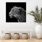 Leopard in black and white by Lukas Holas on GIANT ART - black photo manipulation