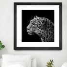 Leopard in black and white by Lukas Holas on GIANT ART - black photo manipulation