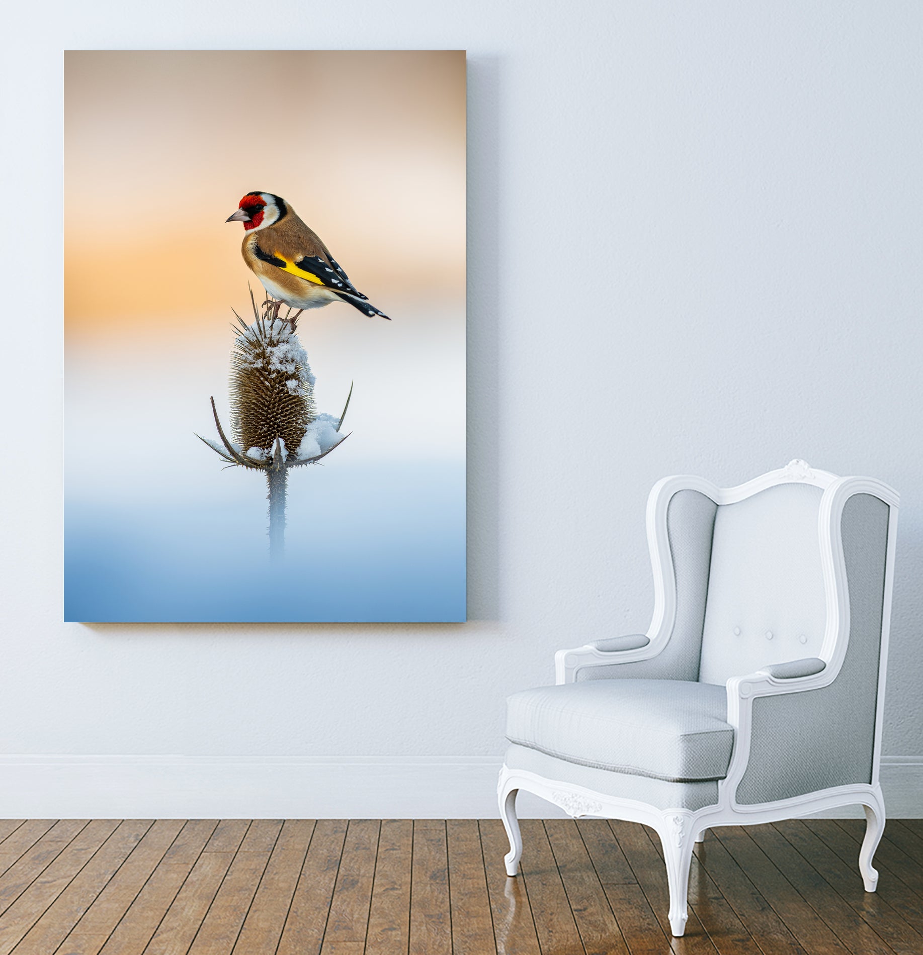 Chardonneret élégant by NICOLAS GROFFAL on GIANT ART - yellow photo illustration