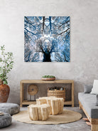 Meditative power of forest by SILVIA WISCHEROPP on GIANT ART - blue photo illustration