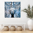 Meditative power of forest by SILVIA WISCHEROPP on GIANT ART - blue photo illustration
