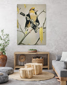 Rock Chick by Sammy Slabbinck on GIANT ART - photo manipulation