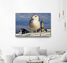 Magic Seagull on the Baltic Sea by SILVIA WISCHEROPP on GIANT ART - blue photo illustration