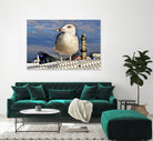 Magic Seagull on the Baltic Sea by SILVIA WISCHEROPP on GIANT ART - blue photo illustration