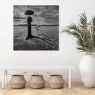 Empty Nest by Dariusz Klimczak on GIANT ART - gray photo illustration