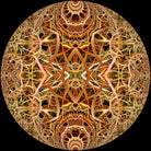 Red Grasses 3 Mandala by Digital Crafts on GIANT ART - brown photo illustration