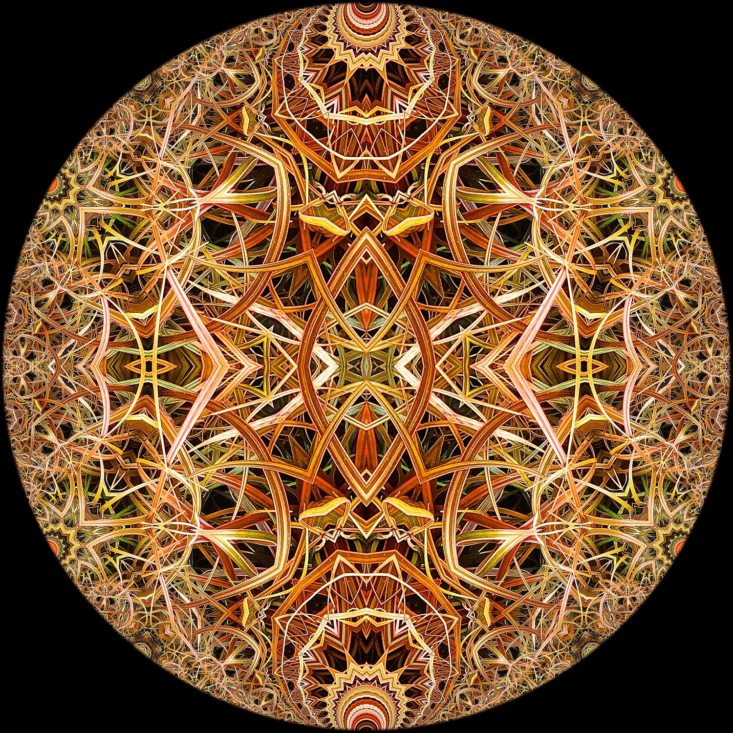 Red Grasses 3 Mandala by Digital Crafts on GIANT ART - brown photo illustration