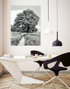 El Árbol by Adrian Daine on GIANT ART - white photo illustration
