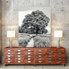 El Árbol by Adrian Daine on GIANT ART - white photo illustration