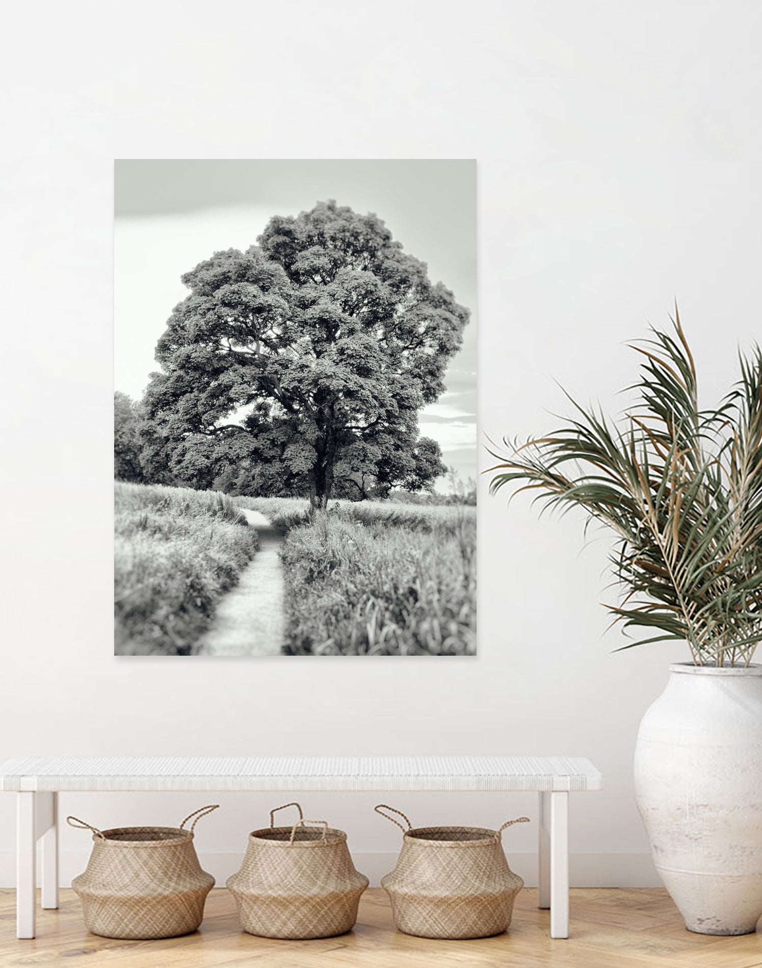 El Árbol by Adrian Daine on GIANT ART - white photo illustration