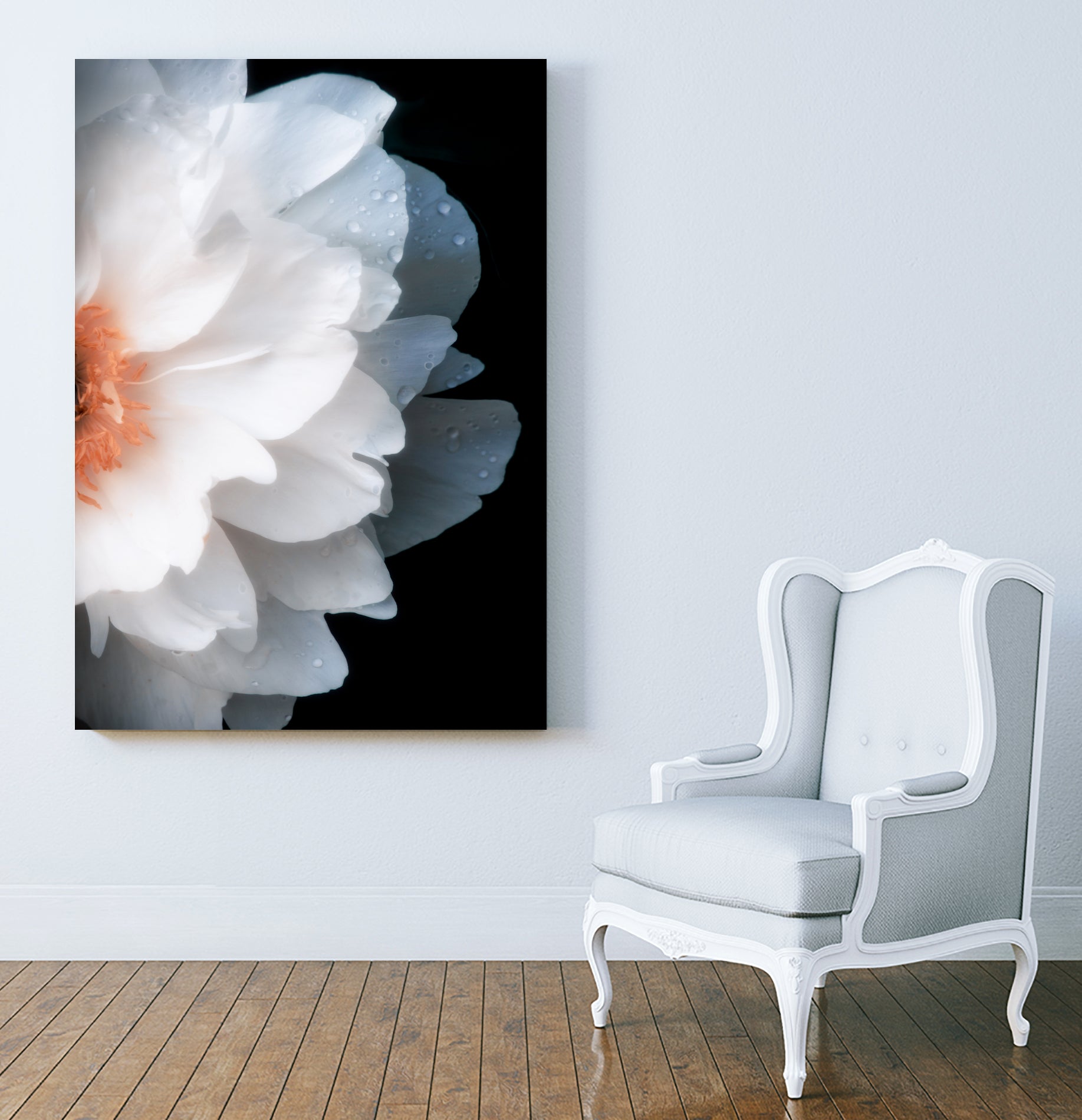 White Flower by Konstantin Sevostyanov on GIANT ART - white photo illustration
