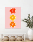 Citrus by Laura Turner on GIANT ART - pink processing/programming